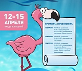Результаты III турнира "ФЛАМИНГО" по синхронному плаванию